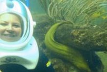 Reef Encounter / Sea Trek